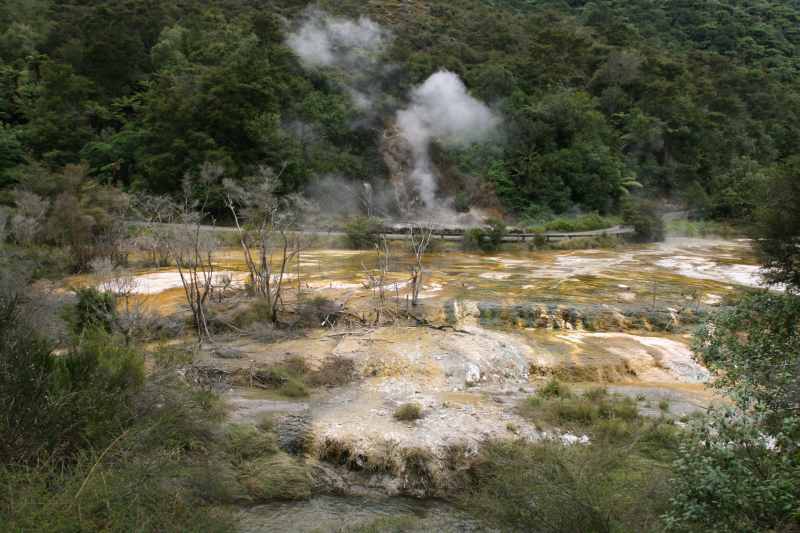 Nieuw-Zeeland 2011 - 0728